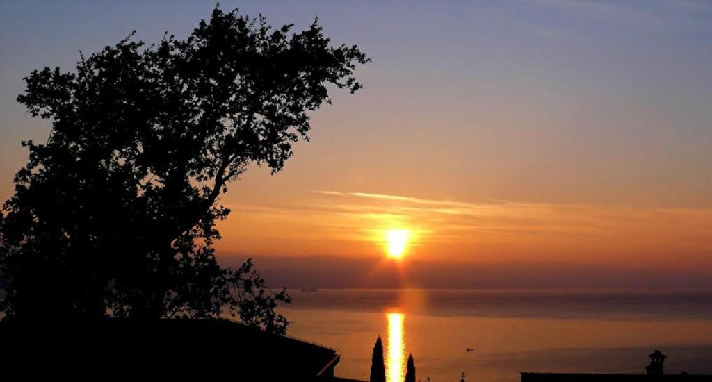 B&B Eva Ičići Dış mekan fotoğraf